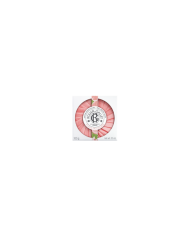 ROGER & GALLET FLEUR DE FIGUIER  SABONETE 3x100g