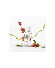 ROGER & GALLET FLEUR D'OSMANTHUS SABONETE 100g