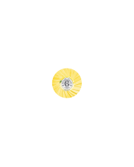 ROGER & GALLET CÉDRAT SABONETE 100G