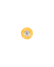 ROGER & GALLET BOIS D'ORANGE SABONETE 3X100G