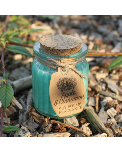 VELA DE CERA DE SOJA EM COPO – MAÇA & CANELA