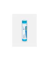 KALIUM IODATUM 9CH – 80 GRÂNULOS – BOIRON