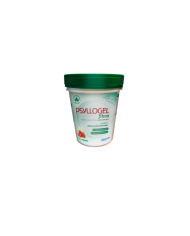 PSYLLOGEL FIBRA FRESA BOTELLA 170G