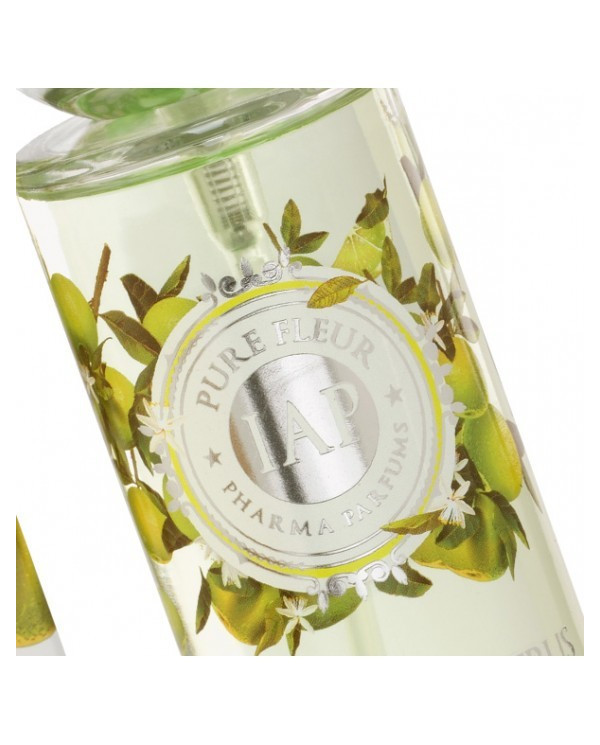 IAP PHARMA PERFUME  MULHER BERGAMOTA CITRUS 150ML + BODY MILK 230ML