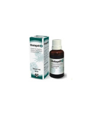 CHOLAGUTT A SOLUÇÃO ORAL 30ML